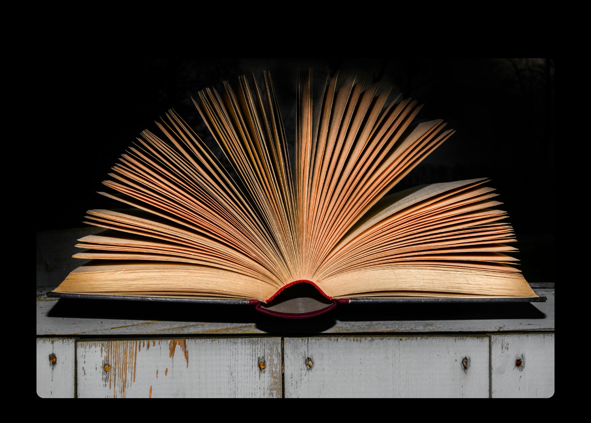 Open book with fanned pages